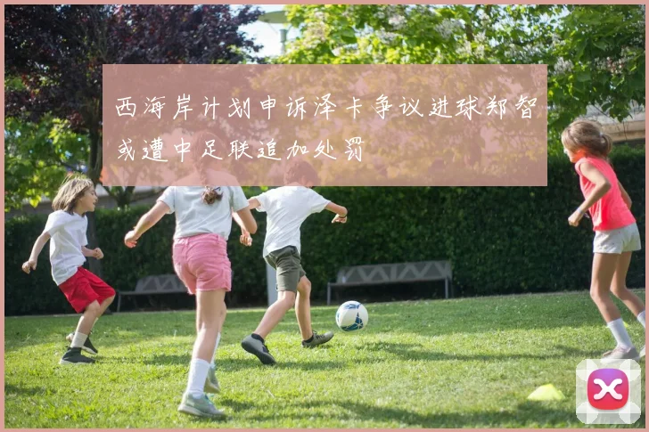 西海岸计划申诉泽卡争议进球郑智或遭中足联追加处罚