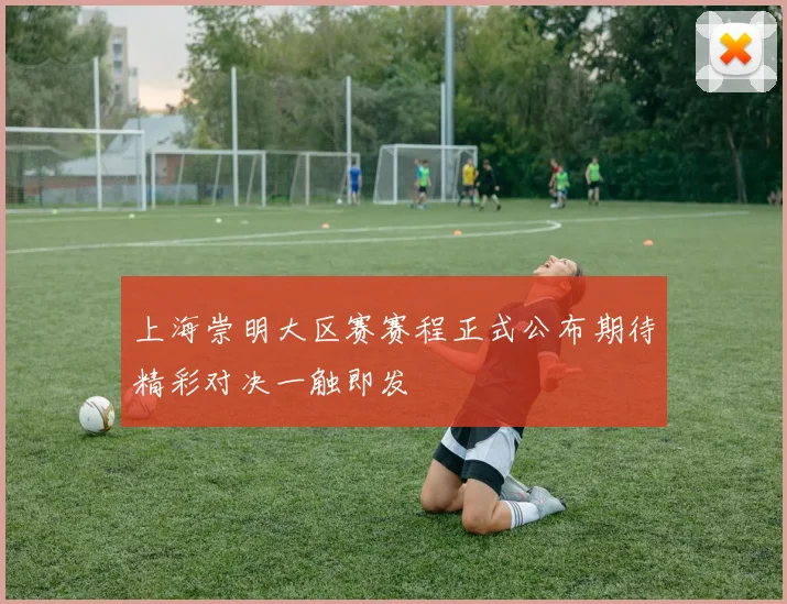 上海崇明大区赛赛程正式公布期待精彩对决一触即发